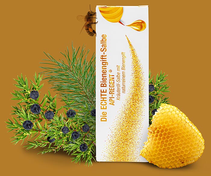 Die ECHTE Bienengift Salbe API-REGENT in der Verpackung